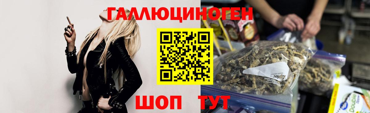 Александров  Псилоцибиновые грибы мухоморы  Вход с VPN 